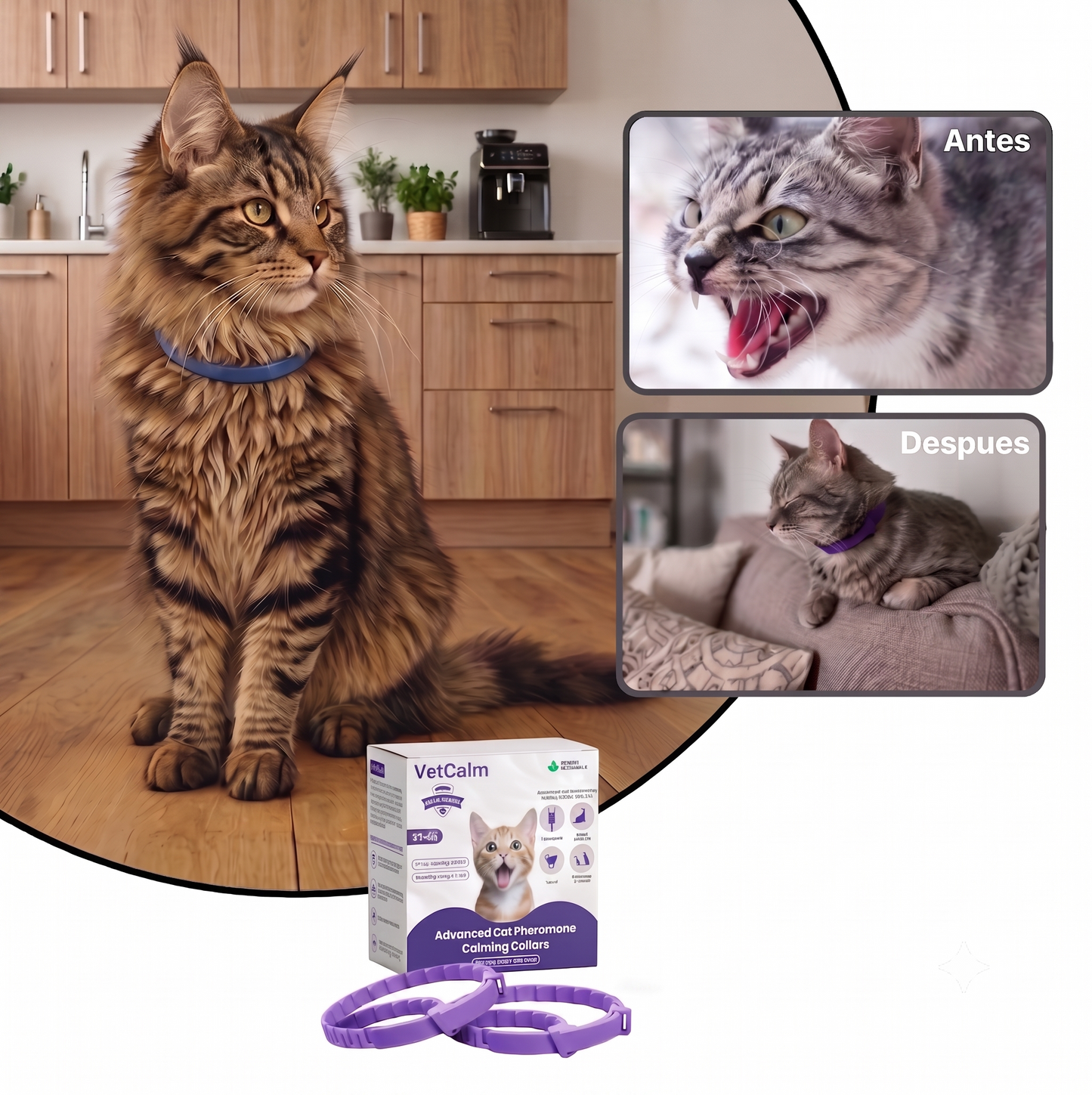 VetCalm collar relajante para gatos