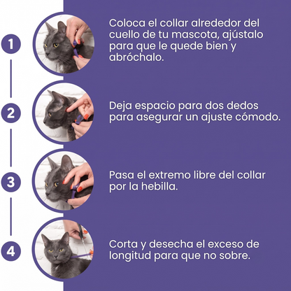VetCalm collar relajante para gatos