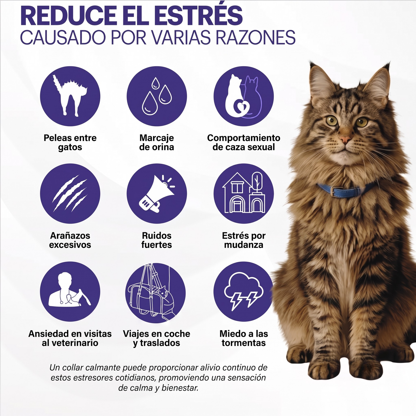VetCalm collar relajante para gatos