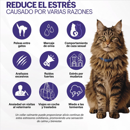 VetCalm collar relajante para gatos