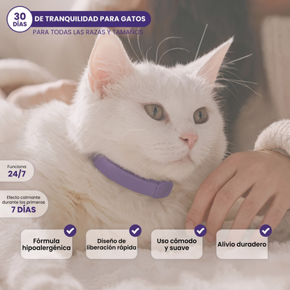VetCalm collar relajante para gatos